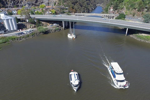 2.50 Hour Afternoon Discovery Cruise Including Cataract Gorge Departing At 3 Pm - Sydney 4u 5