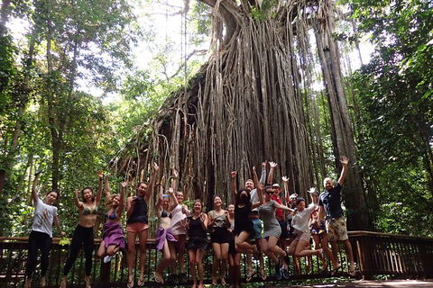 Atherton Tablelands Waterfalls Tour From Cairns - Accommodation Sydney 5