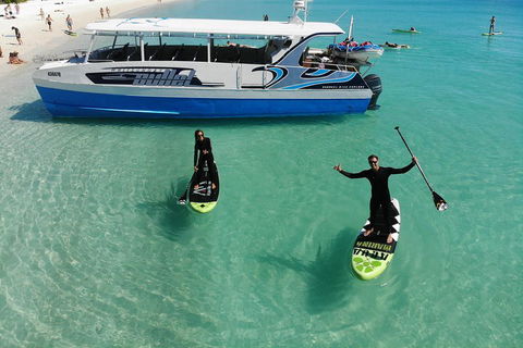 Whitsunday Bullet Day Trip - Whitehaven Beach And Snorkelling - Accommodation Sydney 4