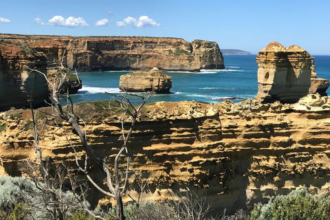 Great Ocean Road Reverse Itinerary Tour - Sydney 4u 1
