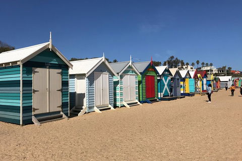 Phillip Island Penguin Parade, Brighton Bathing Boxes And Wildlife Park Tour - Sydney 4u 3