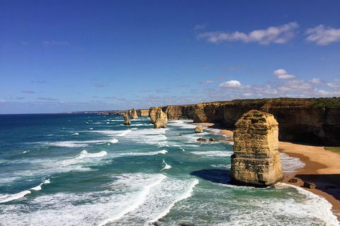 Great Ocean Road Reverse Itinerary PREMIUM Tour - Sydney 4u 2