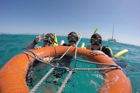 Full-Day Great Barrier Reef Sailing Trip - Sydney 4u 0