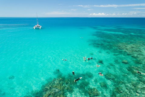 Full-Day Great Barrier Reef Sailing Trip - Sydney 4u 2