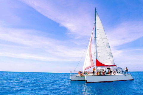 Full-Day Great Barrier Reef Sailing Trip - Sydney 4u 4