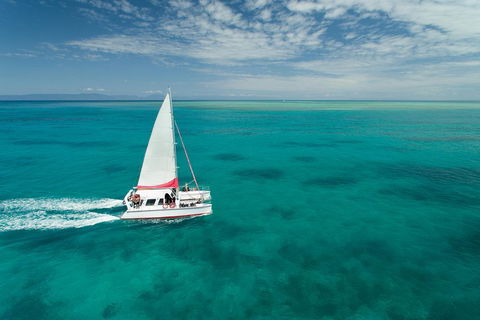 Full-Day Great Barrier Reef Sailing Trip - Sydney 4u 5