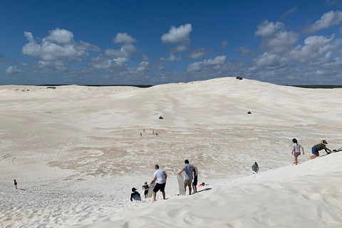 Pinnacles Day Trip From Perth Including Yanchep National Park - Sydney 4u 2
