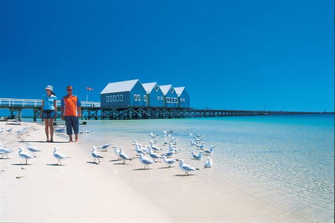 Margaret River And Geographe Bay Region Day Trip From Perth - Sydney 4u 0