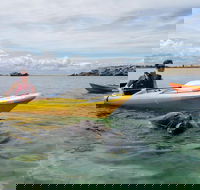Seal Island and Penguin Island or Point Peron Sea Kayak Tour - Sydney 4u