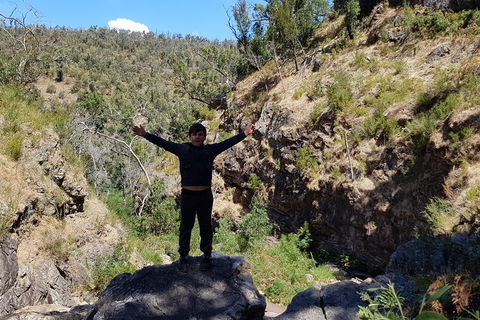 Grampians & Halls Gap - Sydney 4u 1
