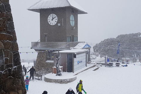 Mt Buller Day Trip From Melbourne - Accommodation Sydney 0