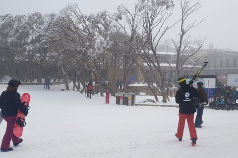 Mt Buller Day Trip From Melbourne - Accommodation Sydney 1