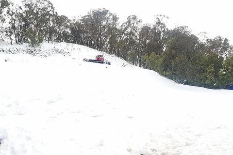 Mt Buller Day Trip From Melbourne - Accommodation Sydney 2