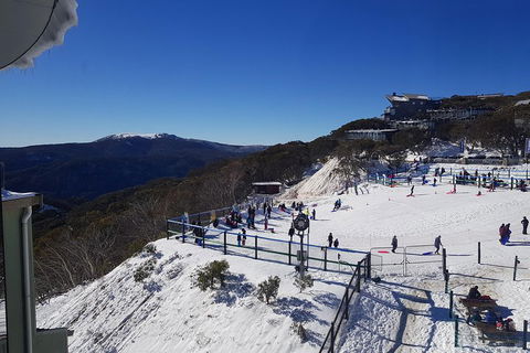 Mt Buller Day Trip From Melbourne - Accommodation Sydney 4