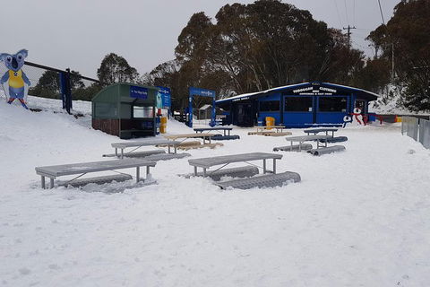 Mt Buller Day Trip From Melbourne - Accommodation Sydney 5