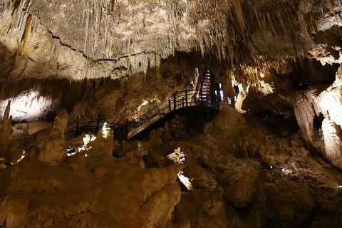 Ngilgi Cave Semi-guided Tour - Accommodation Sydney 2