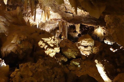 Ngilgi Cave Semi-guided Tour - Accommodation Sydney 3
