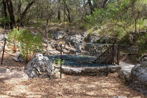Ngilgi Cave Semi-guided Tour - Accommodation Sydney 4