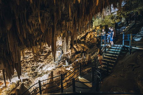 Ngilgi Cave Semi-guided Tour - Accommodation Sydney 5
