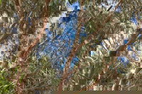 Kangaroo Island 4WD Tour - Best of KI in 2 Days, North Cape