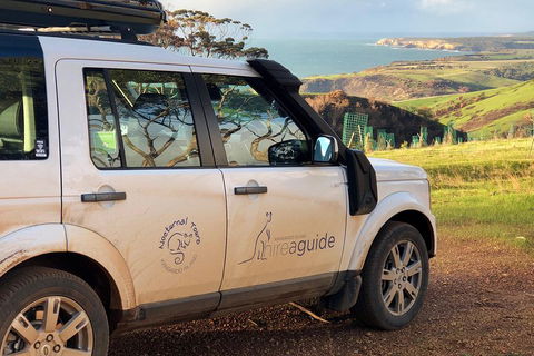 Kangaroo Island 4WD Tour - Best Of KI In 2 Days - Accommodation Sydney 4