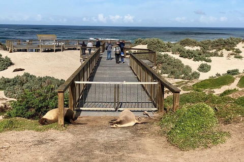 Kangaroo Island 4WD Tour - Best Of KI - Accommodation Sydney 2