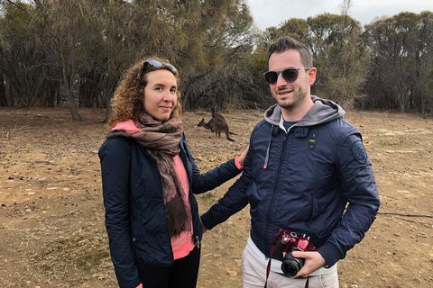 Kangaroo Island 4WD Tour - Best Of KI - Accommodation Sydney 3