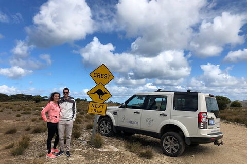 Kangaroo Island 4WD Tour - Best Of KI - Accommodation Sydney 5