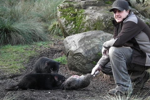 After Dark Tasmanian Devil Feeding Tour At Cradle Mountain - Sydney 4u 2