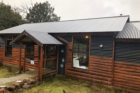After Dark Tasmanian Devil Feeding Tour At Cradle Mountain - Sydney 4u 3