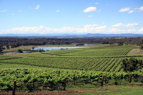 Private Hunter Valley Wine-Tasting Day Tour From Sydney - Accommodation Sydney 0