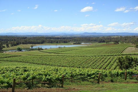 Private Hunter Valley Wine-Tasting Day Tour From Sydney - Accommodation Sydney 1