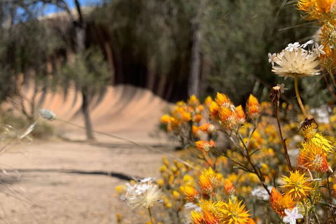 The Big Wave Rock (Private) Day Tour - Accommodation Sydney 3