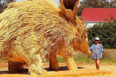 The Big Wave Rock (Private) Day Tour - Accommodation Sydney 5