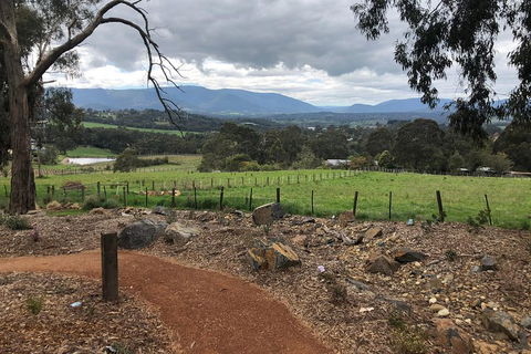 Yarra Valley Wine Tour Inc Lunch With A Glass Of Wine, Tastings And Chocolate - Accommodation Sydney 0