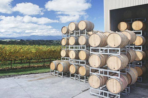 Yarra Valley Wine Tour Inc Lunch With A Glass Of Wine, Tastings And Chocolate - Accommodation Sydney 4