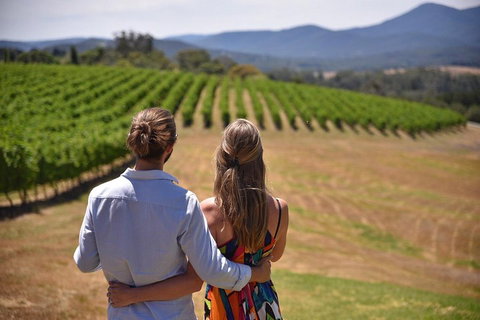 Yarra Valley Wine, Bubbles And Gin Tour! - Accommodation Sydney 4