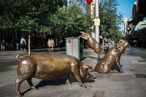 Guided Walking Tour In Adelaide - Sydney 4u 4