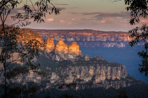 Private Blue Mountains Tour With Kangaroo And Koala Experience - Sydney 4u 1