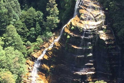 Private Blue Mountains Tour With Kangaroo And Koala Experience - Sydney 4u 5