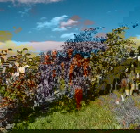 Barossa Valley Private Tour from 2 to 11 people - Accommodation Sydney