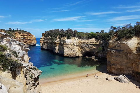 Helicopter Flight + Fine Dining Private Luxury Great Ocean Road Tour - Sydney 4u 1
