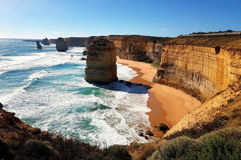 Helicopter Flight + Fine Dining Private Luxury Great Ocean Road Tour - Sydney 4u 4