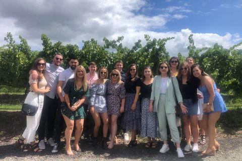 Yarra Valley Public Winery Tours - Sydney 4u 3