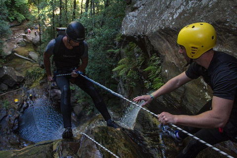 Blue Mountains Empress Canyon Adventure From Wentworth Falls - Sydney 4u 2