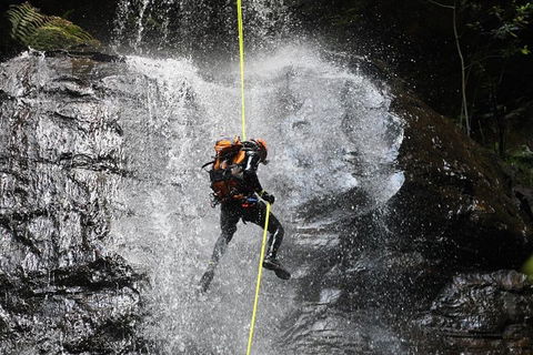 Blue Mountains Empress Canyon Adventure From Wentworth Falls - Sydney 4u 3