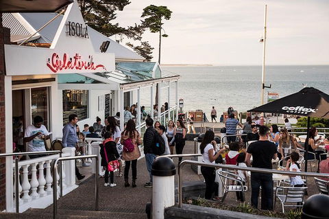 Phillip Island And French Island Wildlife Expedition - Sydney 4u 0