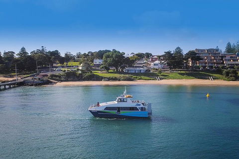 Phillip Island And French Island Wildlife Expedition - Sydney 4u 2