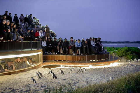 Phillip Island And French Island Wildlife Expedition - Sydney 4u 5
