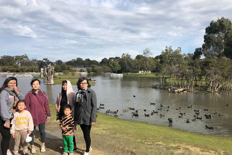 Phillip Island Penguins Private Tour - Accommodation Sydney 1